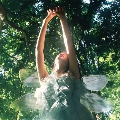 偶然闯入的世界